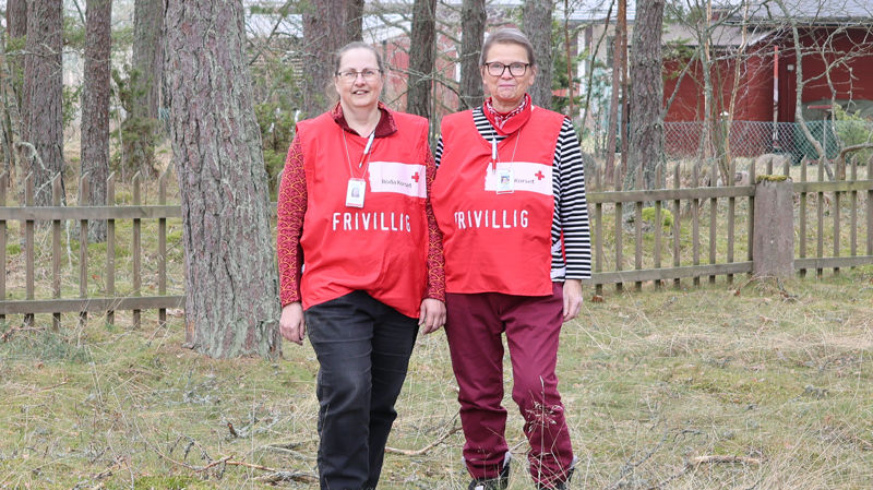 Medlemstidning 2026: Förändrade hjälpbehov och nya sätt att hjälpa