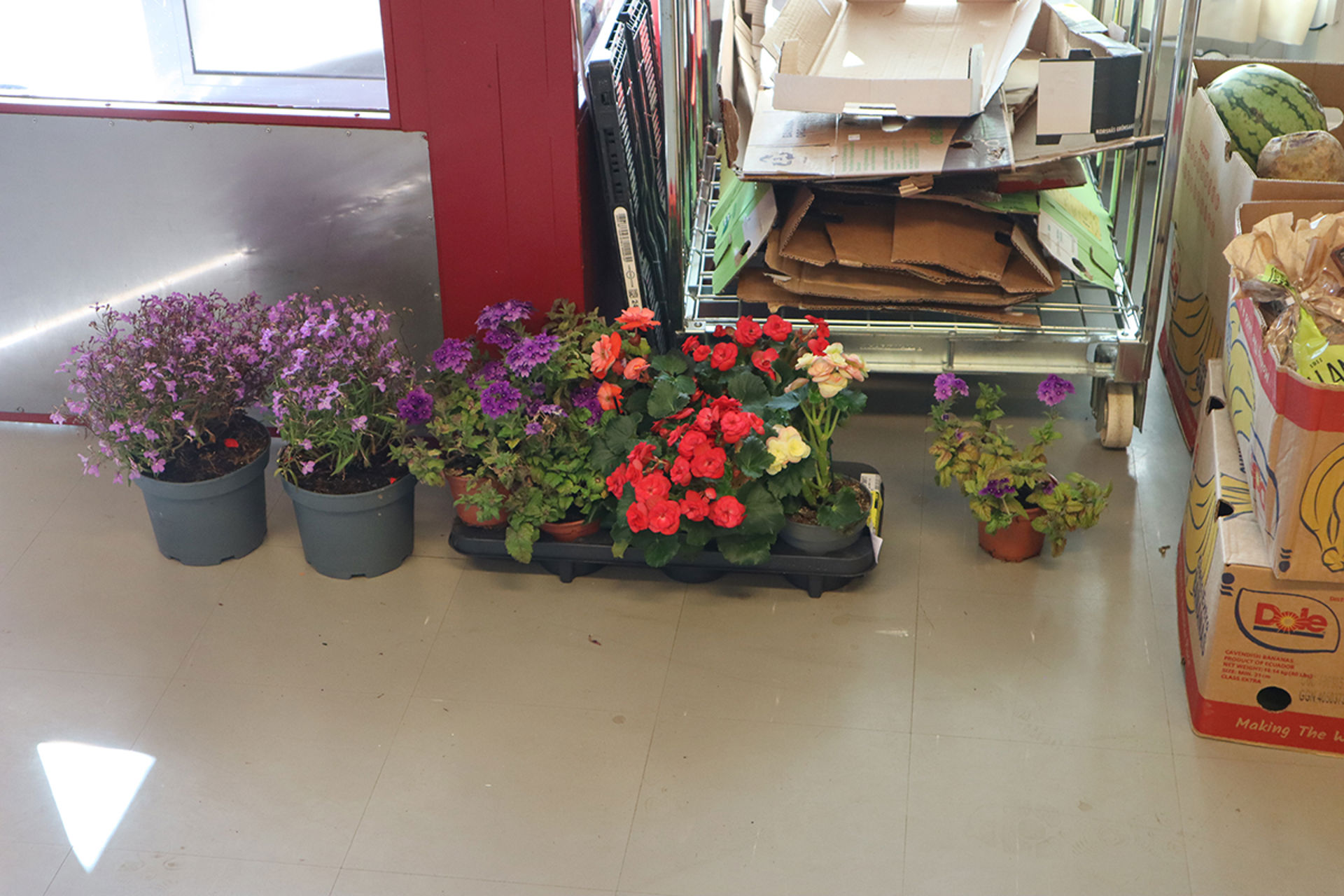 Förutom livsmedel hade den lokala butiken denna gång också donerat blommor att delas ut.