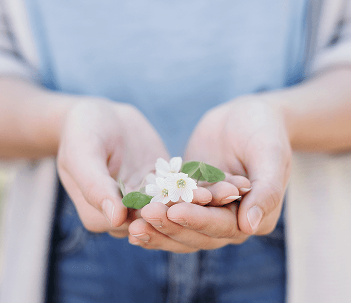 En blomma i händerna på en kvinna