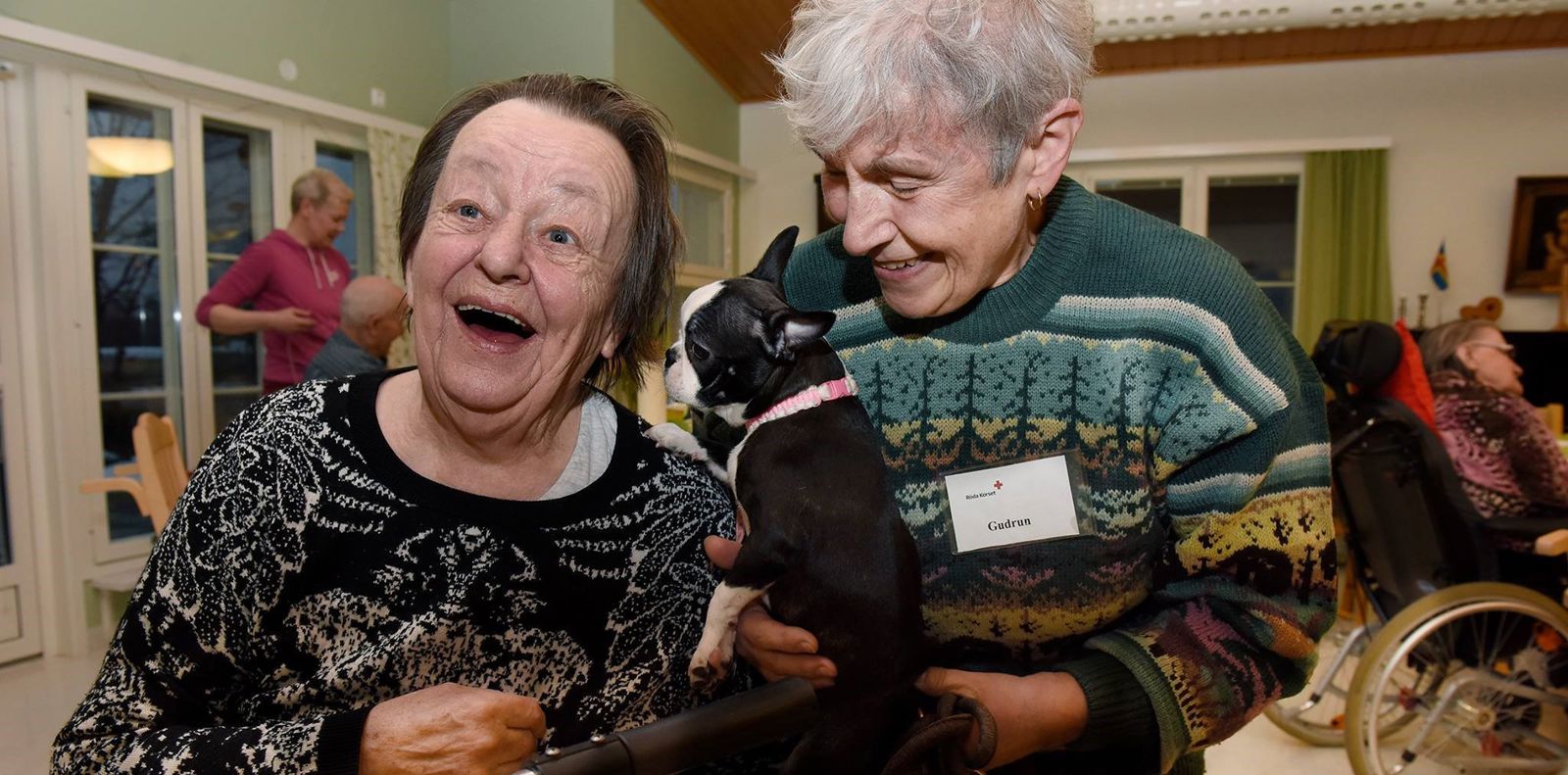 Röda korsets vänhundar