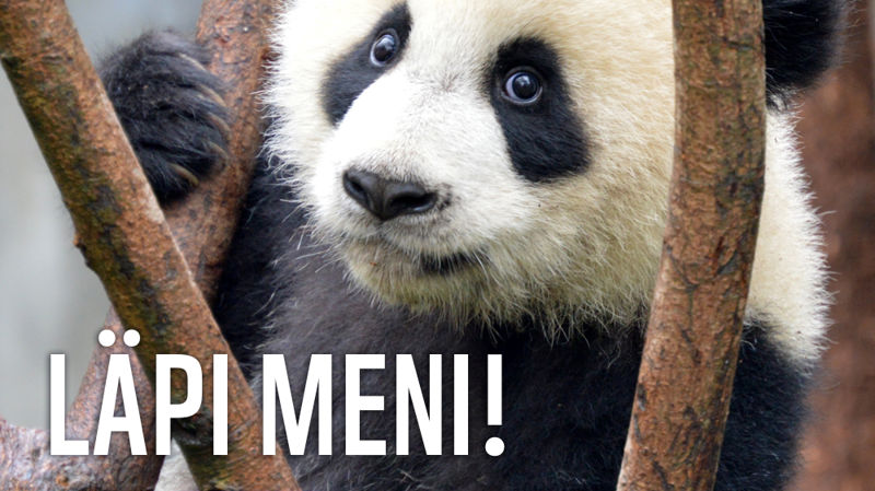 WWF Suomi myönsi Green Office -merkin SPR Hämeen piirille 