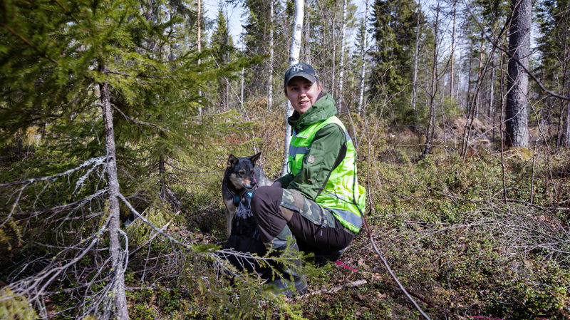 New hobby for this winter? Try Voluntary Rescue Service Basic Course in English!