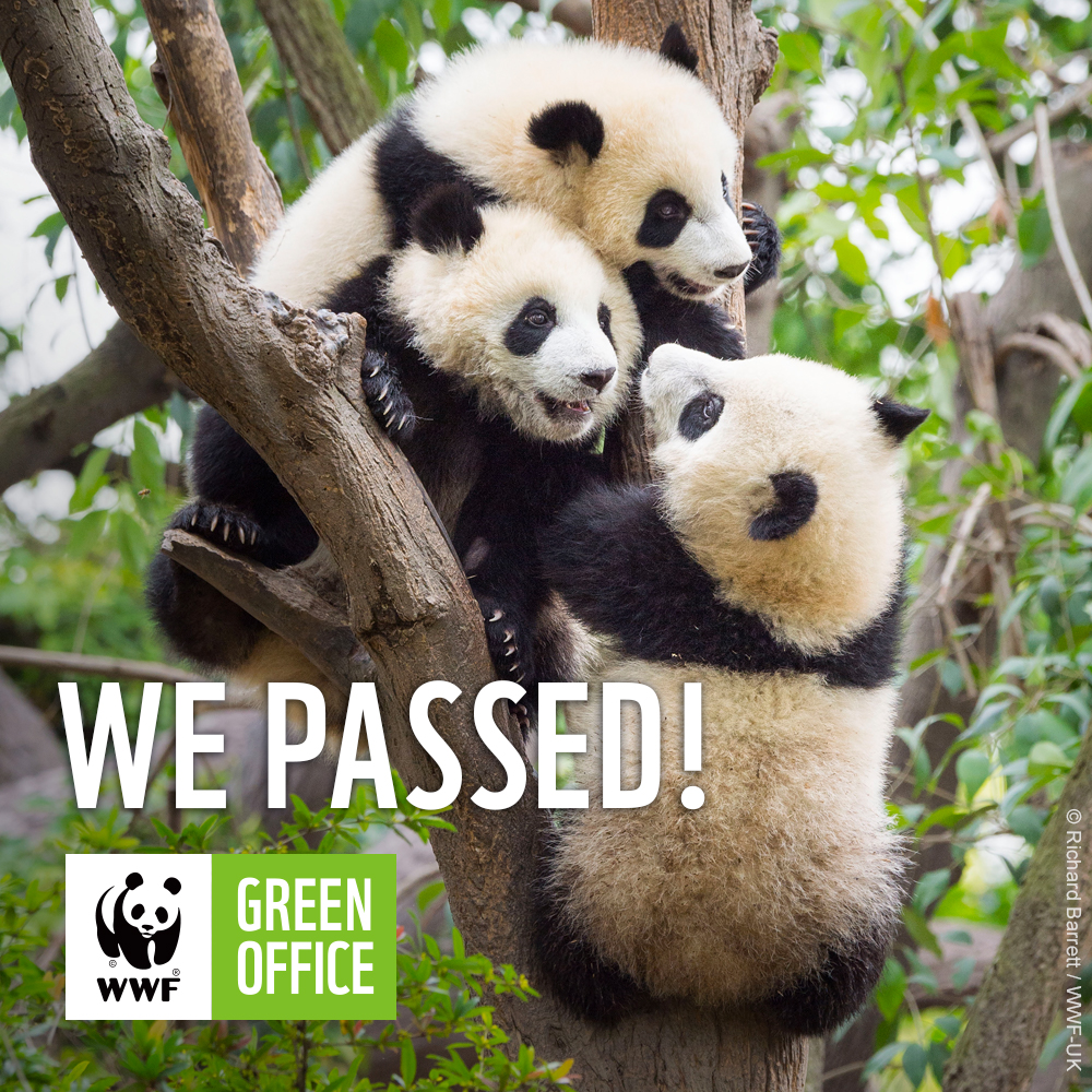 WWF Green Office - We passed!