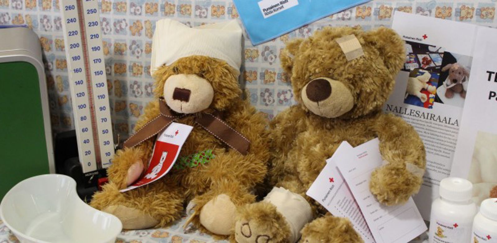 Kaksi nallea istuma-asennossa.