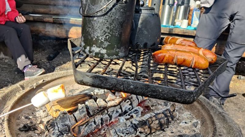 VOIMA -hanketta jo 2 vuotta