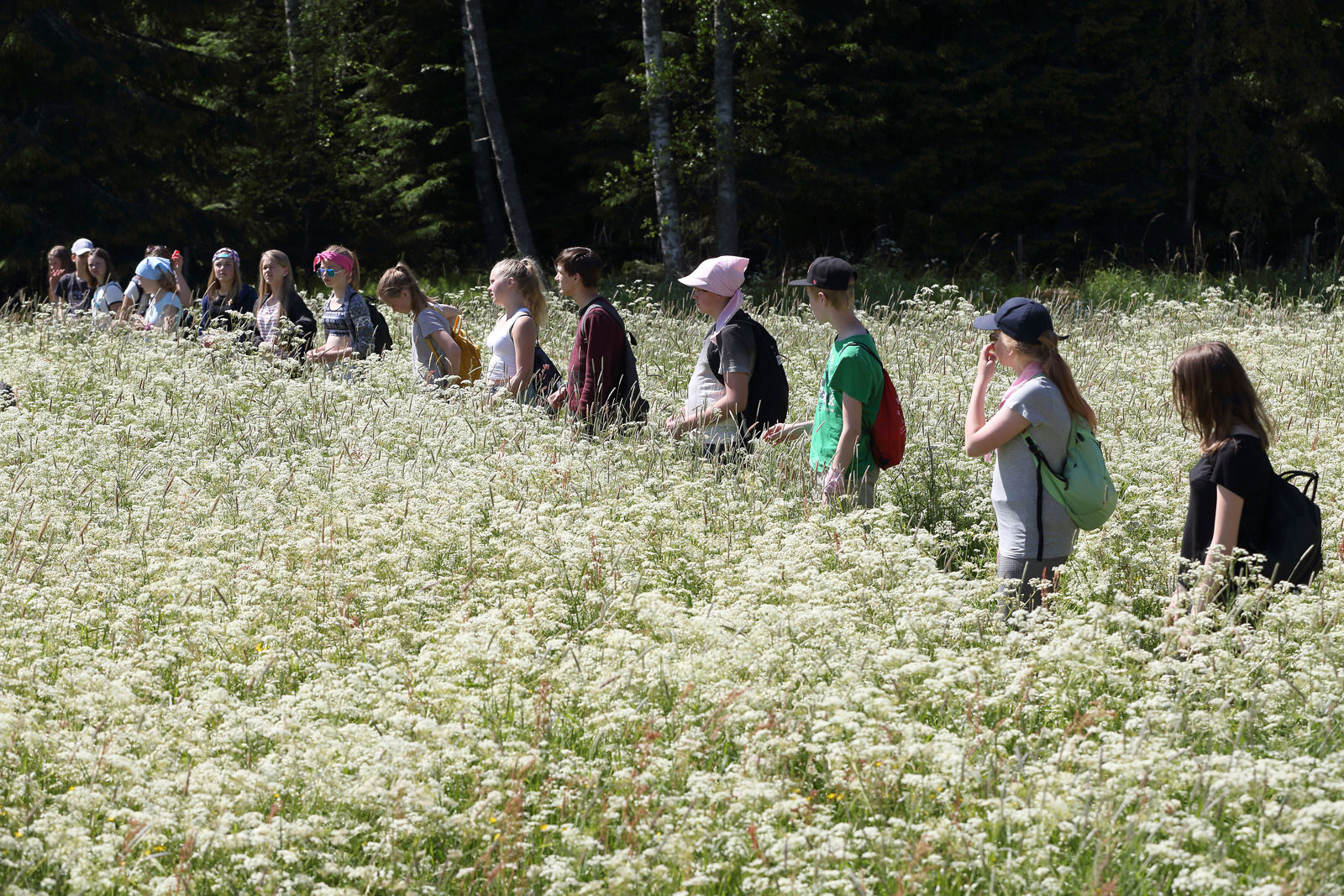 Ihmisiä kävelemässä rivissä pellon keskellä.